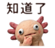880488150