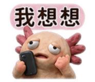 880488161