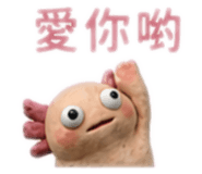 880488162
