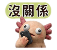 880488165