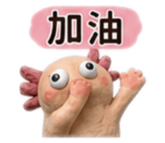 880488166