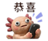 880488167