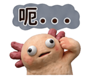 880488175