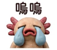 880488176