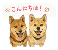 880489858