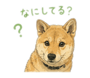 880489866