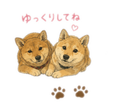 880489869