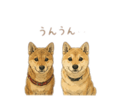 880489870