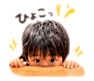 880494486