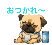 880498293
