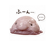 880498960