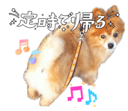 880501159