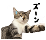 880501337