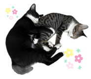 880501359