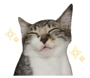 880501360