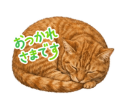 880501644