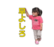 880501658