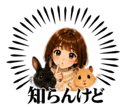 880502023