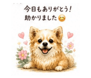 880502097