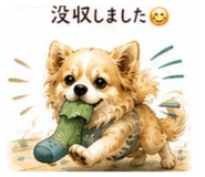 880502098
