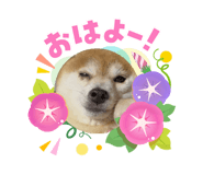 880502500