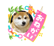 880502503