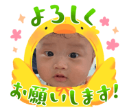880502546