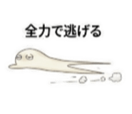 880502607