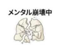 880502611