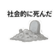880502612