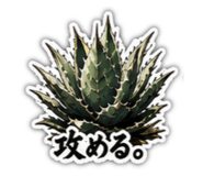 880502670