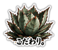 880502673