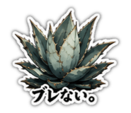 880502684