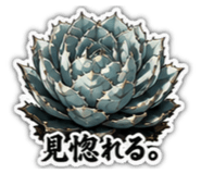 880502697