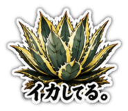 880502699