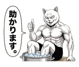 880502806