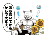 880502807