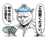 880502810