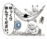 880502811