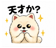 880502944