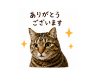 880502994