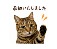880502995
