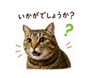 880502998