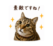 880503002