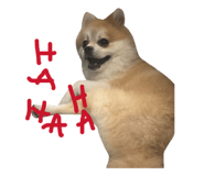 880503009