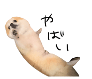 880503012
