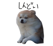 880503016