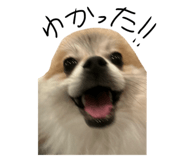 880503018