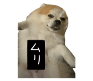 880503019