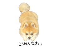 880503020